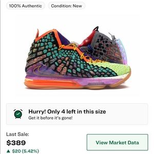 Nike Lebron 17 XVII What The (multi color)